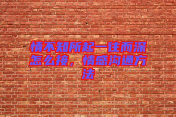 情不知所起一往而深怎么接，情感溝通方法