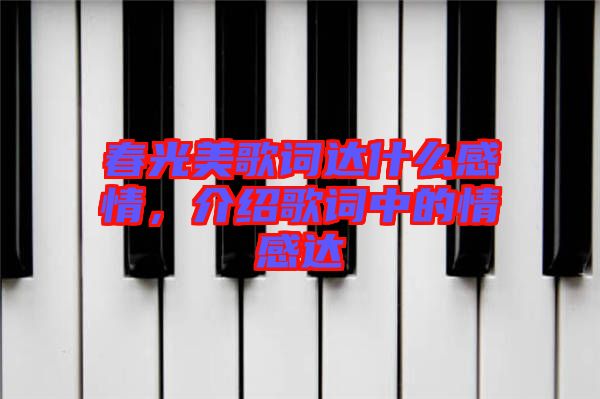 春光美歌詞達什么感情，介紹歌詞中的情感達