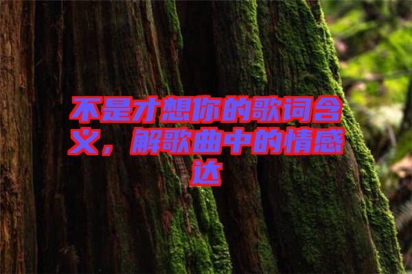 不是才想你的歌詞含義，解歌曲中的情感達
