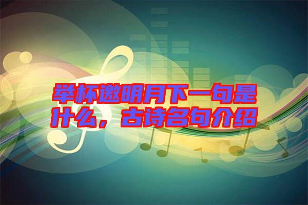 舉杯邀明月下一句是什么，古詩名句介紹