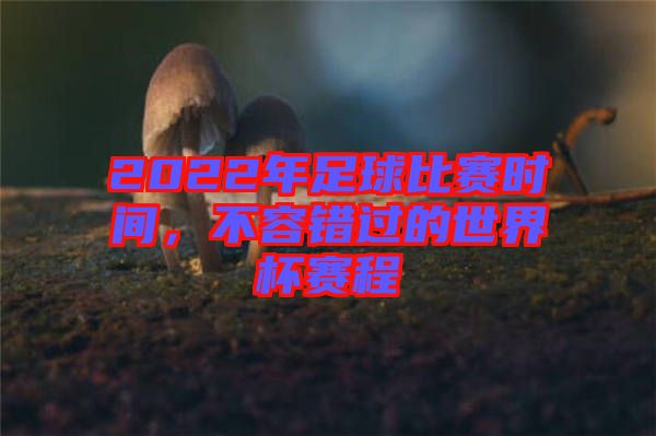 2022年足球比賽時(shí)間，不容錯(cuò)過的世界杯賽程