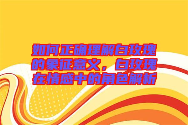 如何正確理解白玫瑰的象征意義，白玫瑰在情感中的角色解析