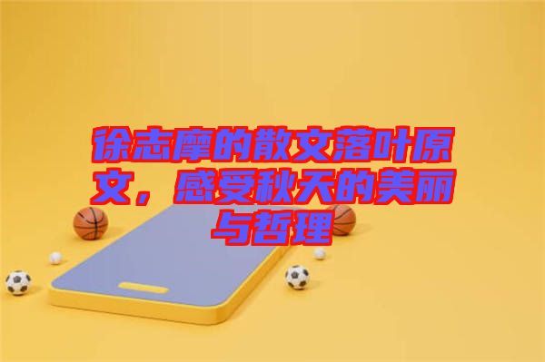 徐志摩的散文落葉原文，感受秋天的美麗與哲理