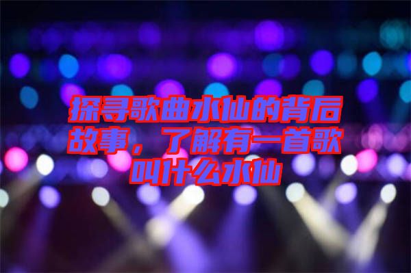 探尋歌曲水仙的背后故事，了解有一首歌叫什么水仙