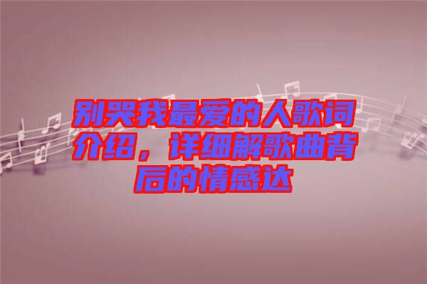 別哭我最愛的人歌詞介紹，詳細解歌曲背后的情感達