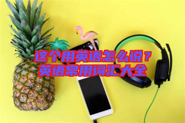 這個用英語怎么說？英語常用詞匯大全