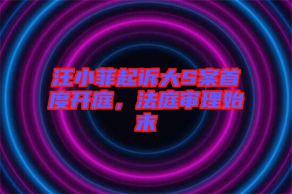 汪小菲起訴大S案首度開庭，法庭審理始末
