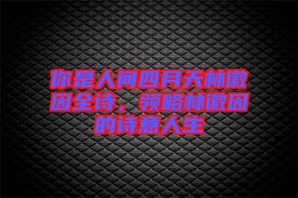 你是人間四月天林徽因全詩，領(lǐng)略林徽因的詩意人生