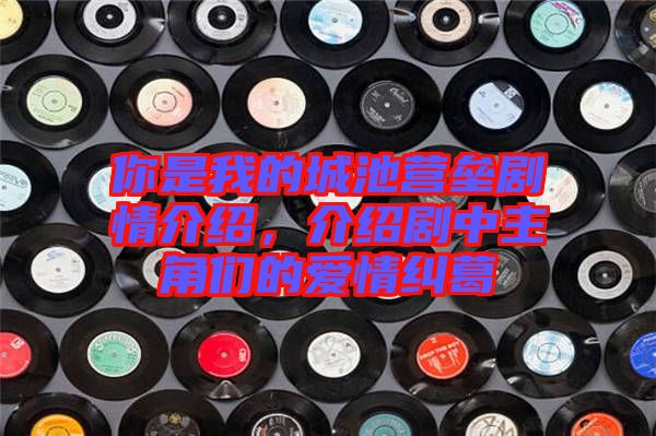 你是我的城池營壘劇情介紹，介紹劇中主角們的愛情糾葛
