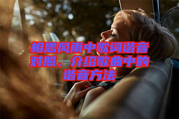 相思風(fēng)雨中歌詞諧音對照，介紹歌曲中的諧音方法