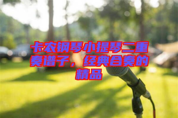 卡農(nóng)鋼琴小提琴二重奏譜子，經(jīng)典合奏的精品