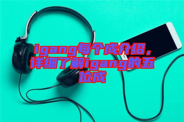 igang每個成介紹，詳細(xì)了解igang的五位成