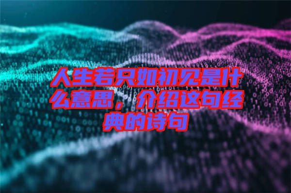 人生若只如初見是什么意思，介紹這句經典的詩句