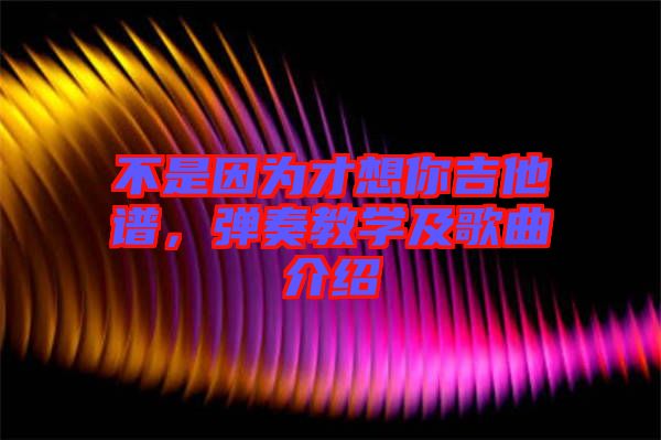 不是因為才想你吉他譜，彈奏教學(xué)及歌曲介紹