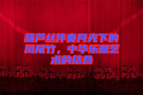 葫蘆絲伴奏月光下的鳳尾竹，中華樂器藝術的結合