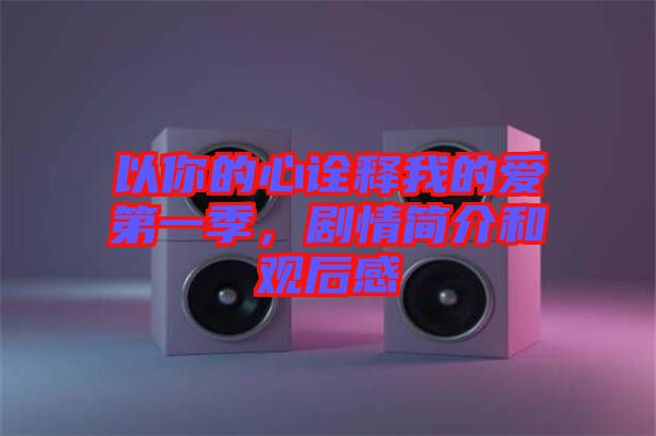 以你的心詮釋我的愛第一季，劇情簡(jiǎn)介和觀后感