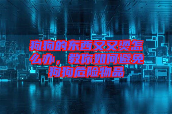 狗狗的東西又又燙怎么辦，教你如何避免狗狗危險物品