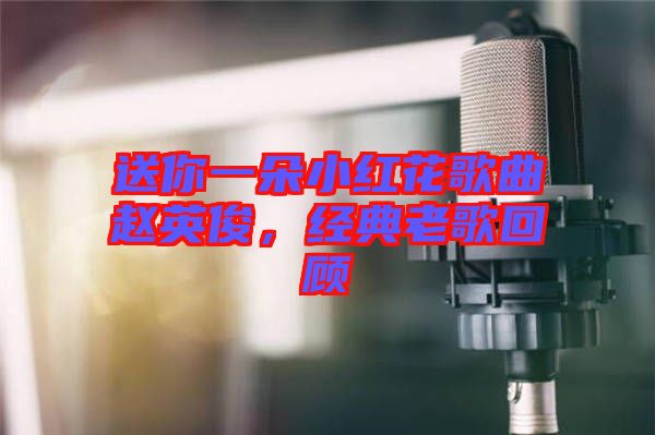 送你一朵小紅花歌曲趙英俊，經(jīng)典老歌回顧