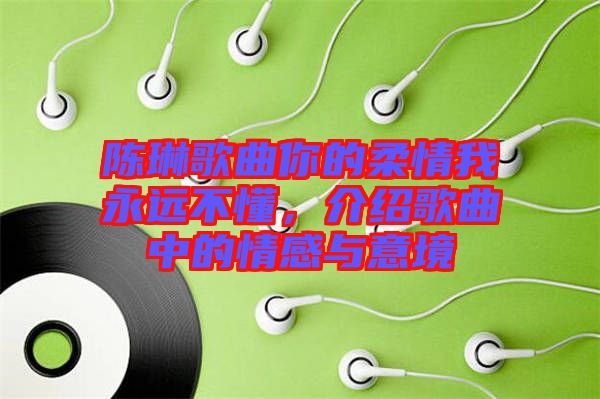 陳琳歌曲你的柔情我永遠(yuǎn)不懂，介紹歌曲中的情感與意境
