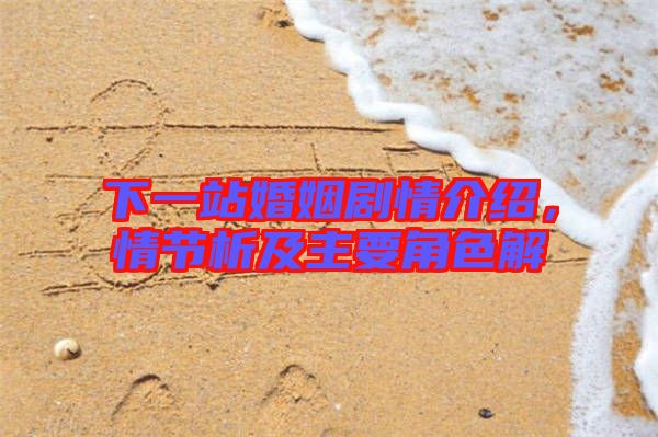 下一站婚姻劇情介紹，情節(jié)析及主要角色解