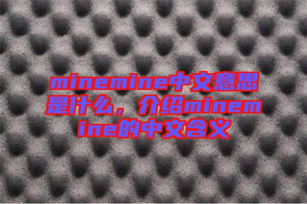 minemine中文意思是什么，介紹minemine的中文含義