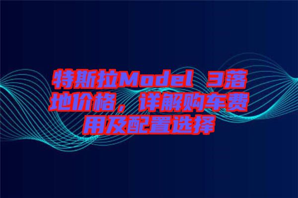 特斯拉Model 3落地價(jià)格，詳解購(gòu)車費(fèi)用及配置選擇