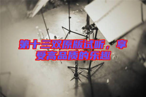 第十三雙原版試聽，享受高品質(zhì)的樂趣