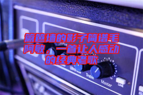 籬笆墻的影子簡譜毛阿敏，一首讓人感動的經(jīng)典老歌