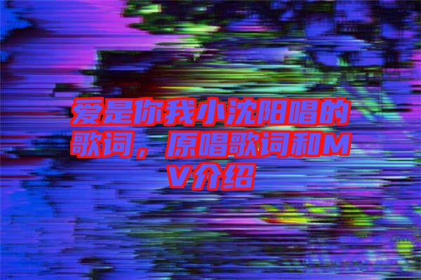 愛是你我小沈陽唱的歌詞，原唱歌詞和MV介紹