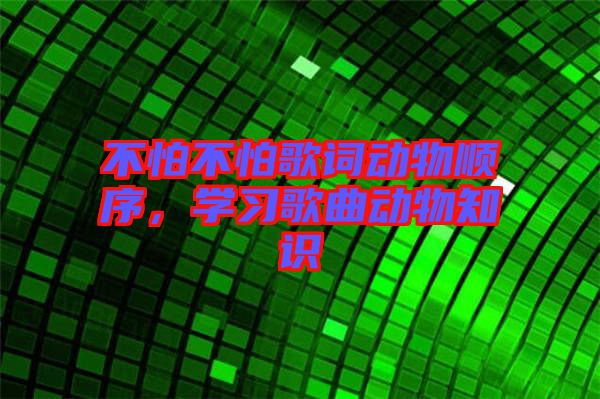 不怕不怕歌詞動物順序，學習歌曲動物知識