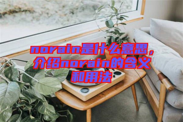 norain是什么意思，介紹norain的含義和用法