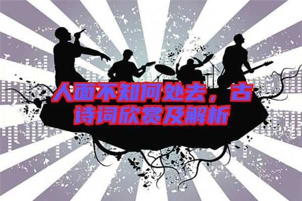 人面不知何處去，古詩詞欣賞及解析
