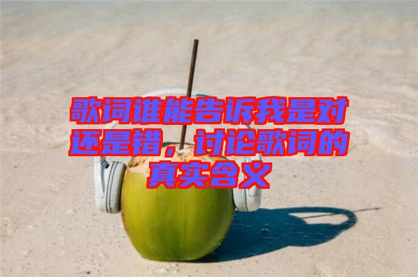 歌詞誰(shuí)能告訴我是對(duì)還是錯(cuò)，討論歌詞的真實(shí)含義