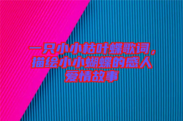 一只小小枯葉蝶歌詞，描繪小小蝴蝶的感人愛(ài)情故事