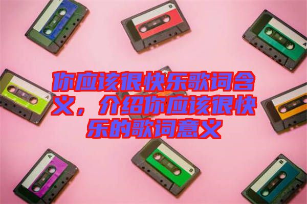 你應(yīng)該很快樂(lè)歌詞含義，介紹你應(yīng)該很快樂(lè)的歌詞意義