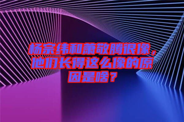 楊宗緯和蕭敬騰很像，他們長得這么像的原因是啥？