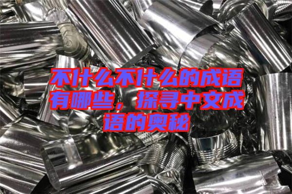 不什么不什么的成語(yǔ)有哪些，探尋中文成語(yǔ)的奧秘