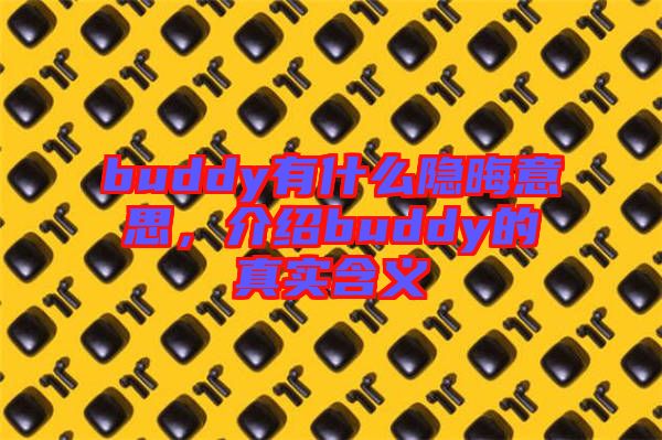 buddy有什么隱晦意思，介紹buddy的真實(shí)含義
