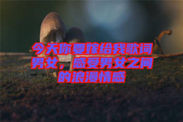今天你要嫁給我歌詞男女，感受男女之間的浪漫情感