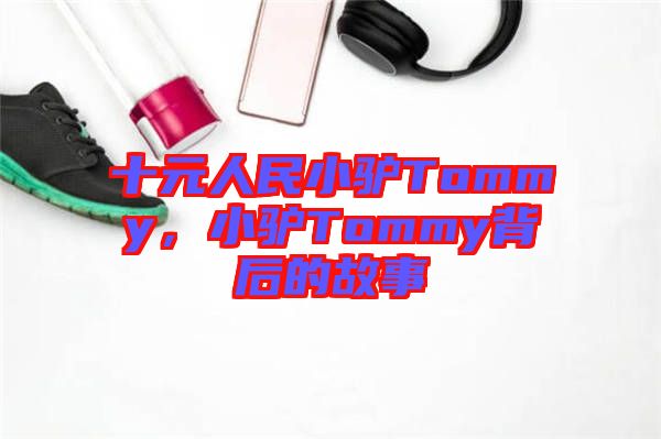 十元人民小驢Tommy，小驢Tommy背后的故事
