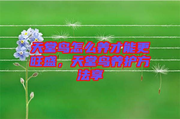 天堂鳥怎么養(yǎng)才能更旺盛，天堂鳥養(yǎng)護(hù)方法享