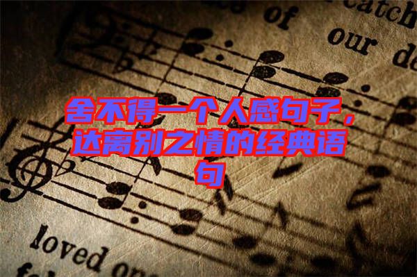 舍不得一個(gè)人感句子，達(dá)離別之情的經(jīng)典語(yǔ)句