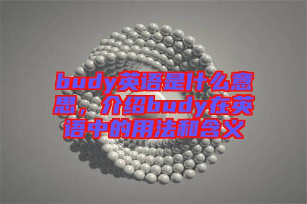 budy英語是什么意思，介紹budy在英語中的用法和含義