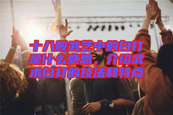 十八般武藝中的白打是什么意思，介紹武術(shù)白打的技法和特點(diǎn)
