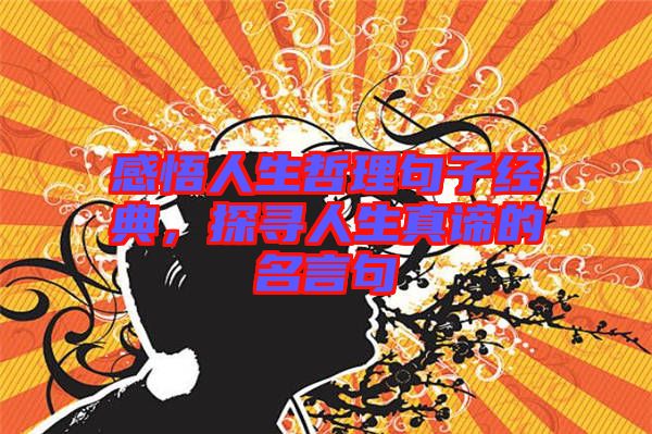 感悟人生哲理句子經(jīng)典，探尋人生真諦的名言句