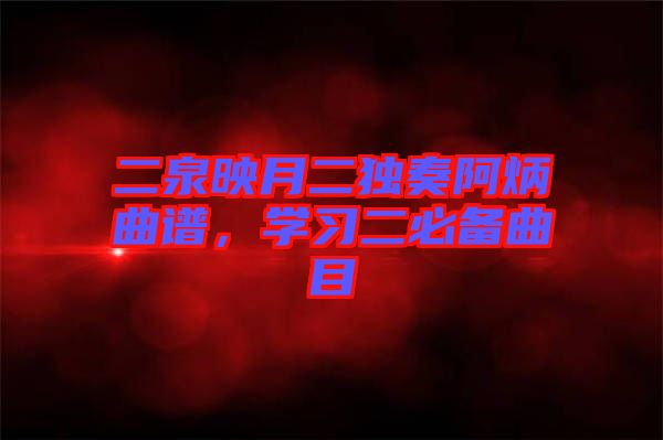 二泉映月二獨奏阿炳曲譜，學習二必備曲目