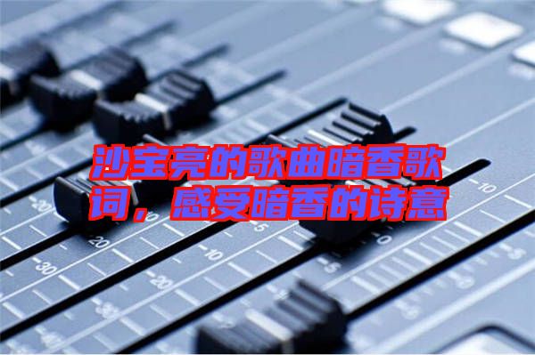 沙寶亮的歌曲暗香歌詞，感受暗香的詩意