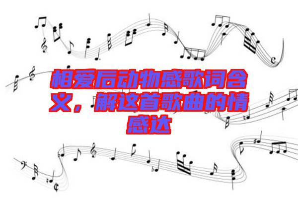 相愛(ài)后動(dòng)物感歌詞含義，解這首歌曲的情感達(dá)