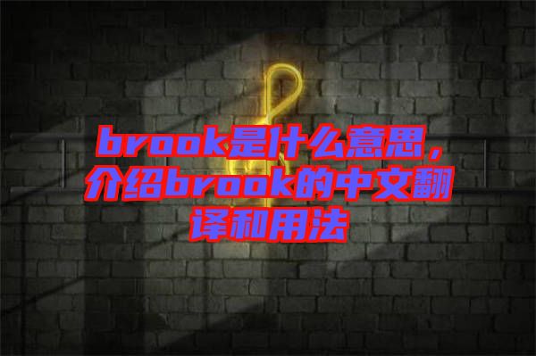 brook是什么意思，介紹brook的中文翻譯和用法