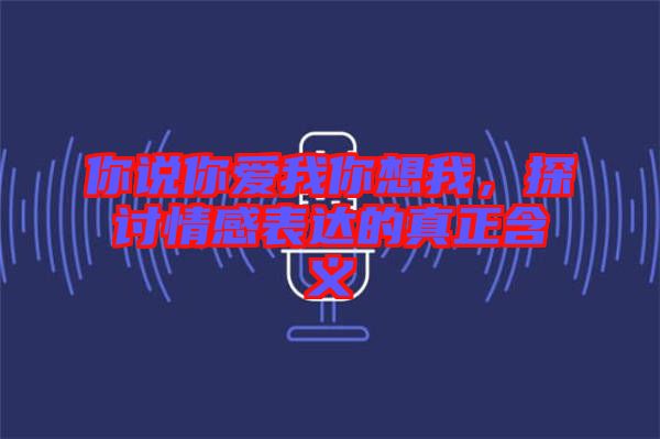 你說你愛我你想我，探討情感表達(dá)的真正含義